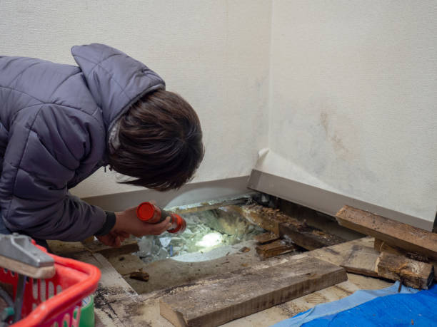 Best Forensic Mold Investigation  in Winchester, MO