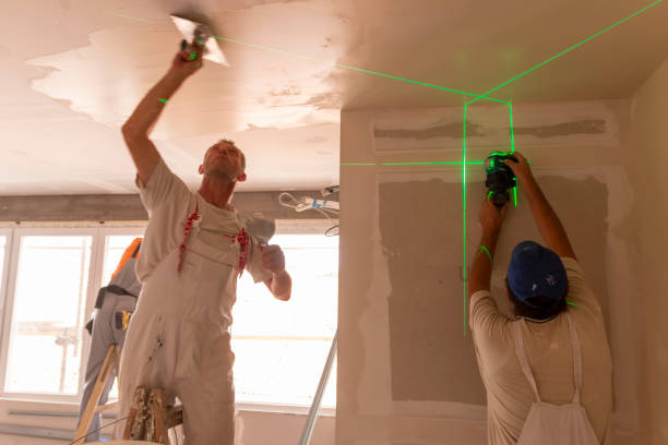 Best Basement Mold Removal  in Winchester, MO